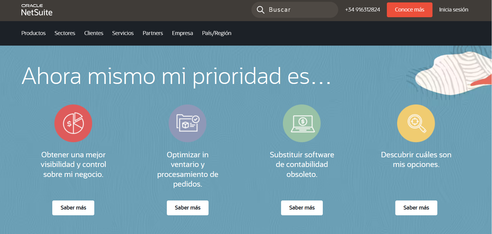 Página web NetSuite Imagen: Página web NetSuite